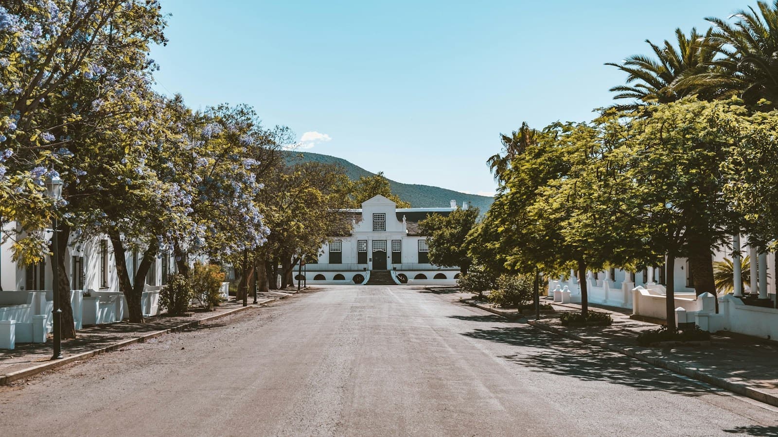 A quiet tree-lined street with a Cape Dutch building in Graaff-Reinet